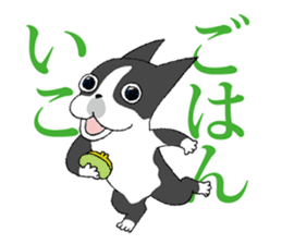 BostonTerrier Bunta 2 sticker #9727822