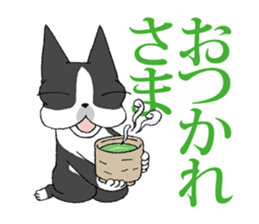 BostonTerrier Bunta 2 sticker #9727825