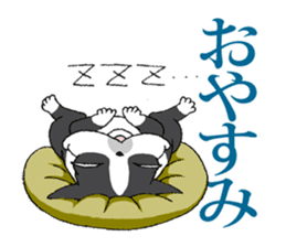 BostonTerrier Bunta 2 sticker #9727827