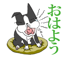 BostonTerrier Bunta 2 sticker #9727828