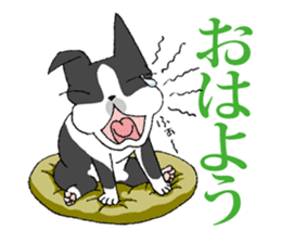 BostonTerrier Bunta 2 sticker #9727828