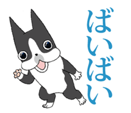 BostonTerrier Bunta 2 sticker #9727831