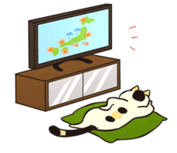 Ugly but cute! tortoiseshell cat, Mike sticker #9730657