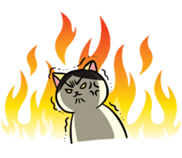 Ugly but cute! tortoiseshell cat, Mike sticker #9730662