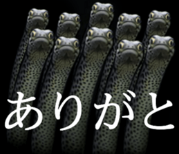 Heteroconger hassi of the darkness sticker #9731594