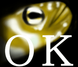 Heteroconger hassi of the darkness sticker #9731595