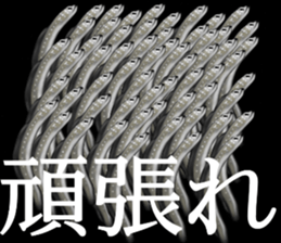 Heteroconger hassi of the darkness sticker #9731600