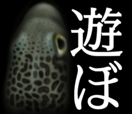 Heteroconger hassi of the darkness sticker #9731602