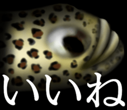 Heteroconger hassi of the darkness sticker #9731609