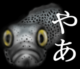 Heteroconger hassi of the darkness sticker #9731611