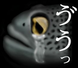 Heteroconger hassi of the darkness sticker #9731612