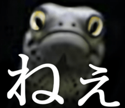 Heteroconger hassi of the darkness sticker #9731613