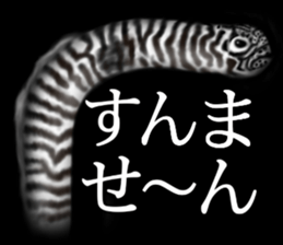 Heteroconger hassi of the darkness sticker #9731617