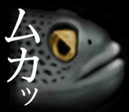 Heteroconger hassi of the darkness sticker #9731619