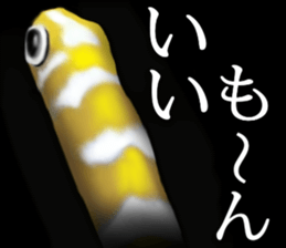 Heteroconger hassi of the darkness sticker #9731621