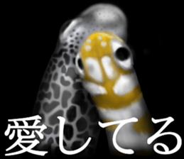 Heteroconger hassi of the darkness sticker #9731622