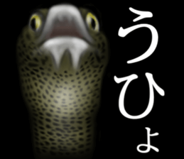 Heteroconger hassi of the darkness sticker #9731624