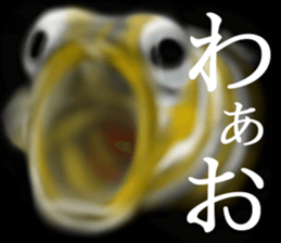 Heteroconger hassi of the darkness sticker #9731625