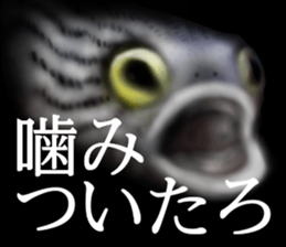 Heteroconger hassi of the darkness sticker #9731626