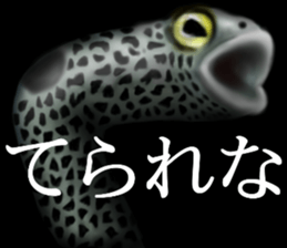 Heteroconger hassi of the darkness sticker #9731627