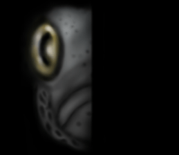 Heteroconger hassi of the darkness sticker #9731630