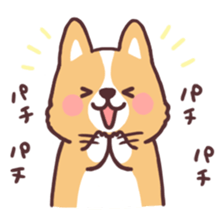 fluffy fat Corgi sticker #9732437