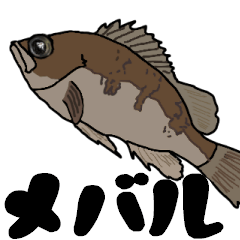 japan fishing mebaru fish Sticker