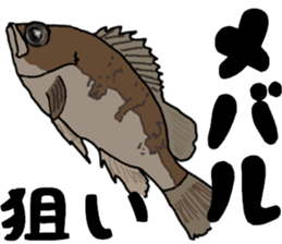 japan fishing mebaru fish Sticker sticker #9732592