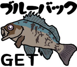 japan fishing mebaru fish Sticker sticker #9732593