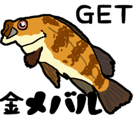 japan fishing mebaru fish Sticker sticker #9732594