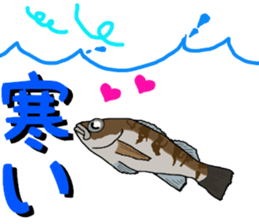 japan fishing mebaru fish Sticker sticker #9732604