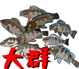 japan fishing mebaru fish Sticker sticker #9732607