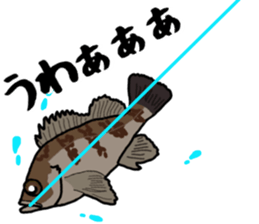 japan fishing mebaru fish Sticker sticker #9732615