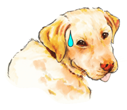 Team Lab Labrador! sticker #9732994
