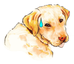Team Lab Labrador! sticker #9732994