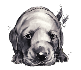 Team Lab Labrador! sticker #9732998