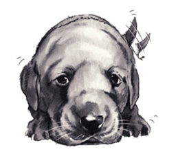Team Lab Labrador! sticker #9732998