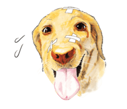 Team Lab Labrador! sticker #9733006