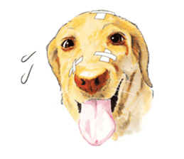 Team Lab Labrador! sticker #9733006