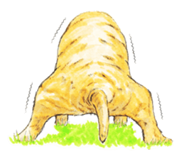 Team Lab Labrador! sticker #9733010