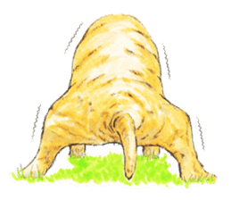 Team Lab Labrador! sticker #9733010