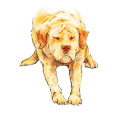 Team Lab Labrador! sticker #9733016