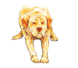 Team Lab Labrador! sticker #9733016