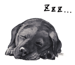 Team Lab Labrador! sticker #9733017