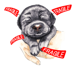 Team Lab Labrador! sticker #9733019