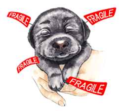 Team Lab Labrador! sticker #9733019