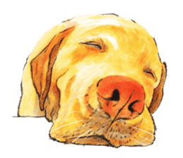 Team Lab Labrador! sticker #9733020