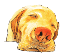 Team Lab Labrador! sticker #9733020