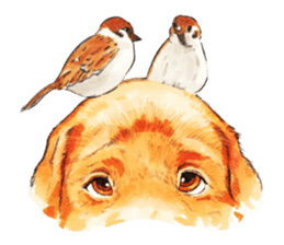 Team Lab Labrador! sticker #9733022