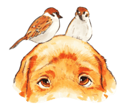 Team Lab Labrador! sticker #9733022